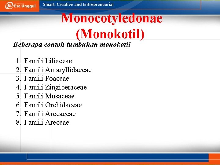 Monocotyledonae (Monokotil) Beberapa contoh tumbuhan monokotil 1. 2. 3. 4. 5. 6. 7. 8.