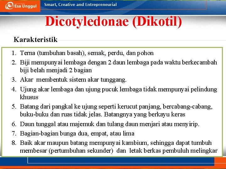 Dicotyledonae (Dikotil) Karakteristik 1. Terna (tumbuhan basah), semak, perdu, dan pohon 2. Biji mempunyai