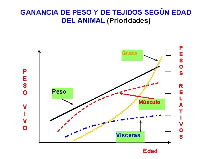 GANANCIA DE PESO Y DE TEJIDOS SEGÚN EDAD DEL ANIMAL (Prioridades) P E S