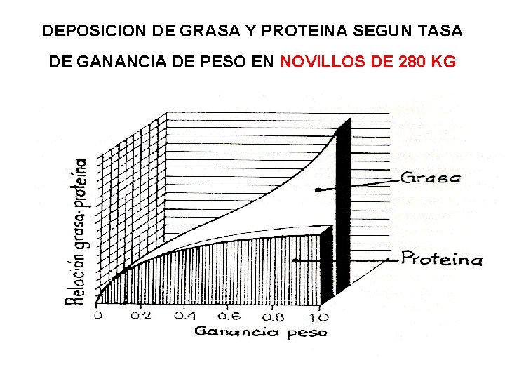 DEPOSICION DE GRASA Y PROTEINA SEGUN TASA DE GANANCIA DE PESO EN NOVILLOS DE