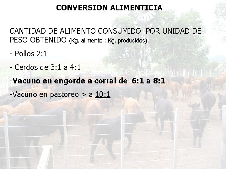 CONVERSION ALIMENTICIA CANTIDAD DE ALIMENTO CONSUMIDO POR UNIDAD DE PESO OBTENIDO (Kg. alimento :