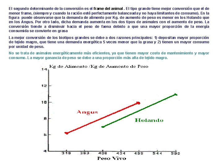 El segundo determinante de la conversión es el frame del animal. El tipo grande