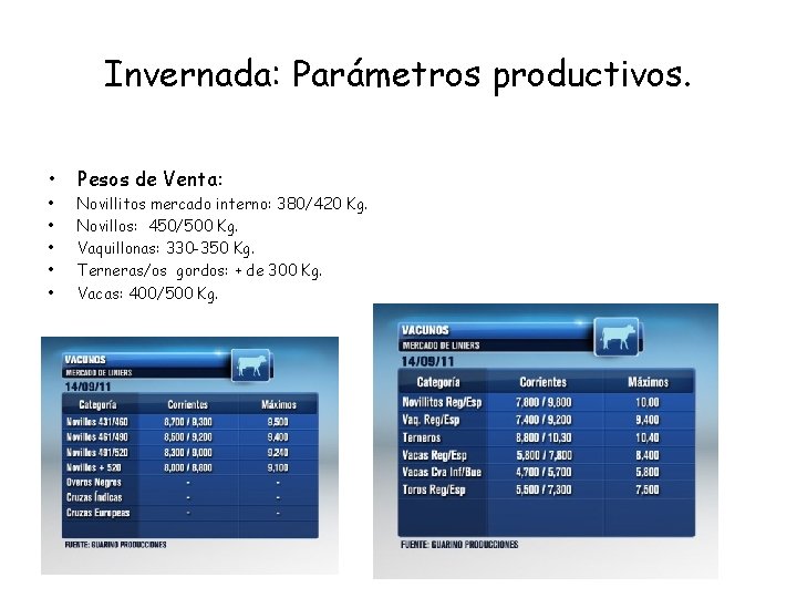 Invernada: Parámetros productivos. • • • Pesos de Venta: Novillitos mercado interno: 380/420 Kg.