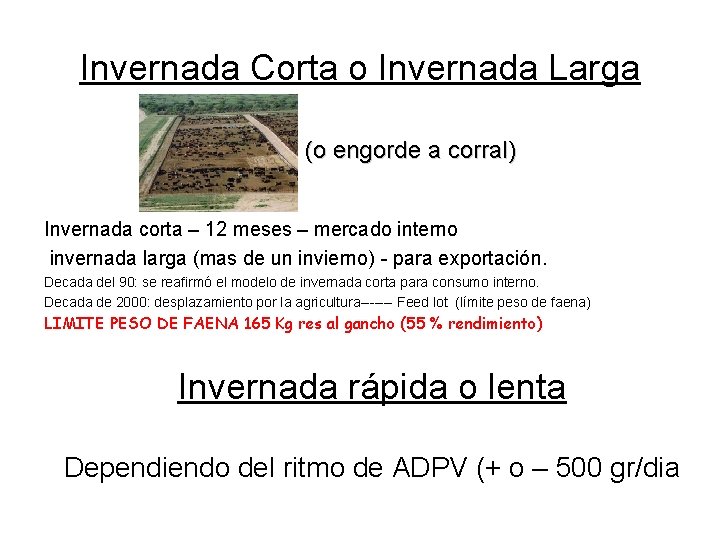 Invernada Corta o Invernada Larga (o engorde a corral) Invernada corta – 12 meses