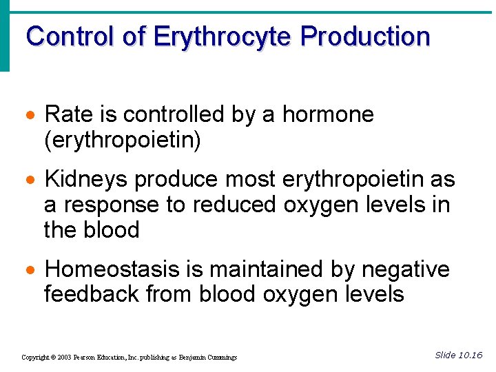 Control of Erythrocyte Production · Rate is controlled by a hormone (erythropoietin) · Kidneys
