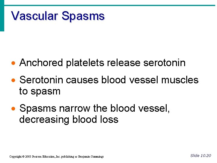Vascular Spasms · Anchored platelets release serotonin · Serotonin causes blood vessel muscles to