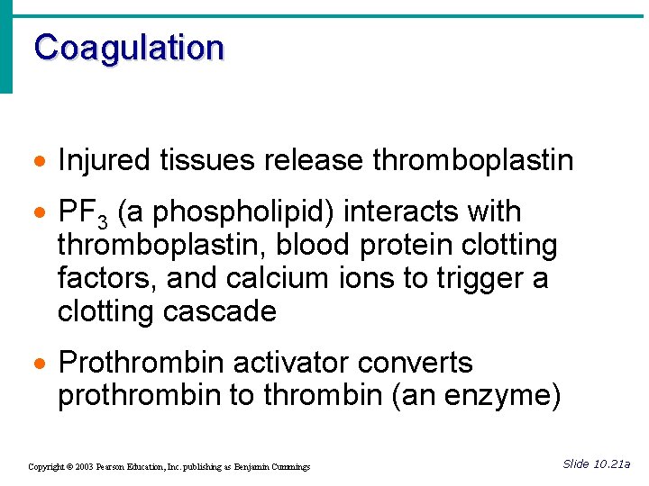 Coagulation · Injured tissues release thromboplastin · PF 3 (a phospholipid) interacts with thromboplastin,