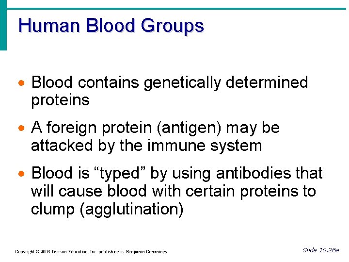 Human Blood Groups · Blood contains genetically determined proteins · A foreign protein (antigen)