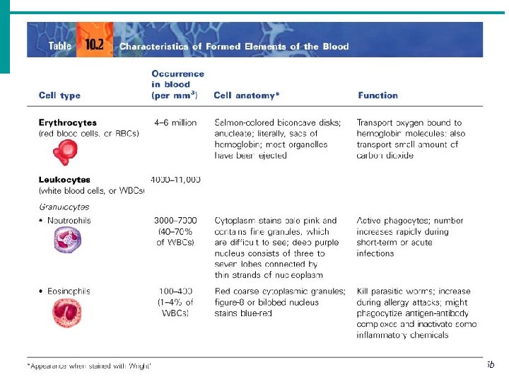 Copyright © 2003 Pearson Education, Inc. publishing as Benjamin Cummings Slide 10. 5 b
