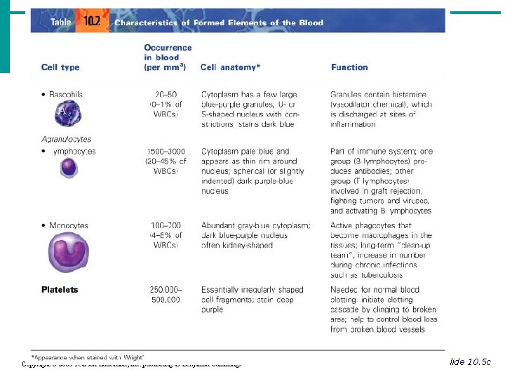 Copyright © 2003 Pearson Education, Inc. publishing as Benjamin Cummings Slide 10. 5 c