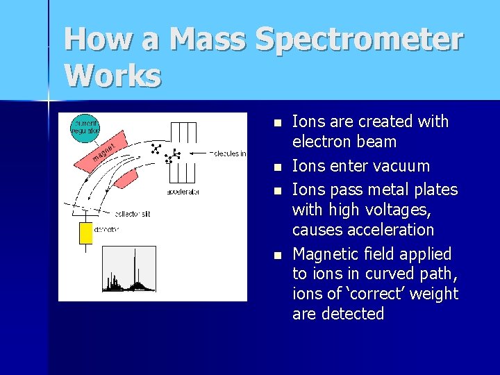 How a Mass Spectrometer Works n n Ions are created with electron beam Ions