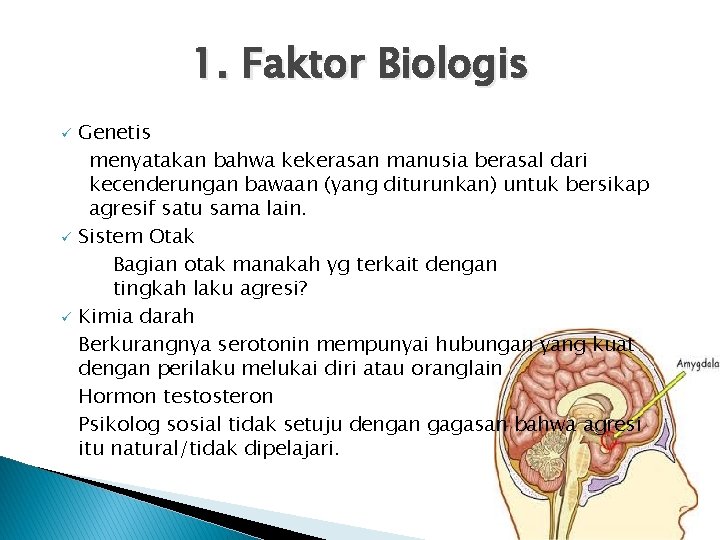 1. Faktor Biologis Genetis menyatakan bahwa kekerasan manusia berasal dari kecenderungan bawaan (yang diturunkan)