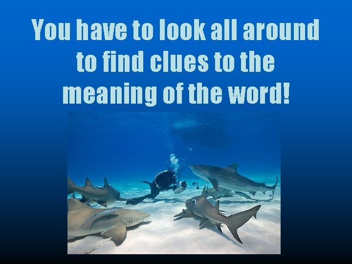 You have to look all around to find clues to the meaning of the