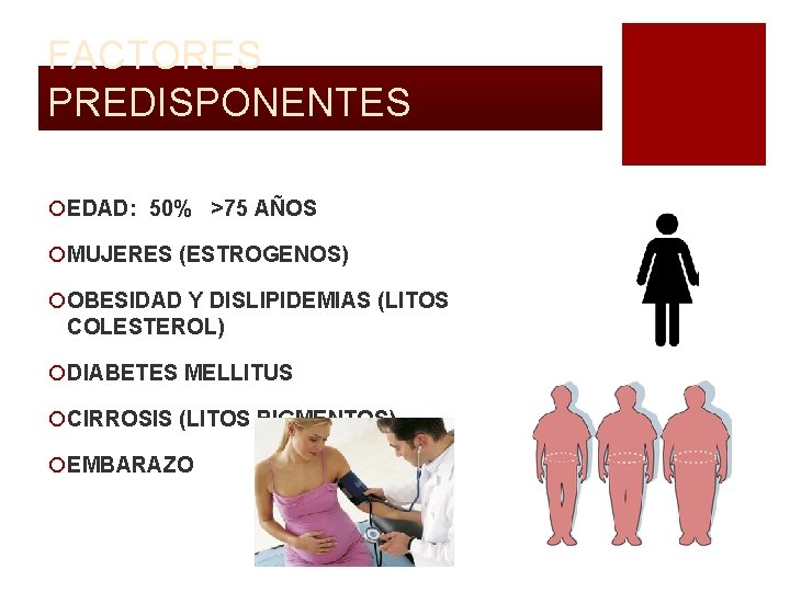 FACTORES PREDISPONENTES ¡EDAD: 50% >75 AÑOS ¡MUJERES (ESTROGENOS) ¡OBESIDAD Y DISLIPIDEMIAS (LITOS COLESTEROL) ¡DIABETES FACTORES PREDISPONENTES ¡EDAD: 50% >75 AÑOS ¡MUJERES (ESTROGENOS) ¡OBESIDAD Y DISLIPIDEMIAS (LITOS COLESTEROL) ¡DIABETES