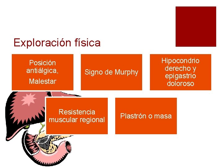 Exploración física Posición antiálgica, Malestar Signo de Murphy Resistencia muscular regional Hipocondrio derecho y Exploración física Posición antiálgica, Malestar Signo de Murphy Resistencia muscular regional Hipocondrio derecho y