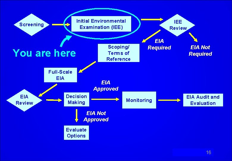 Initial Environmental Examination (IEE) Screening Scoping/ Terms of Reference You are here Full-Scale EIA