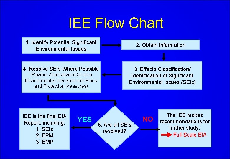 IEE Flow Chart 1. Identify Potential Significant Environmental Issues 2. Obtain Information 4. Resolve