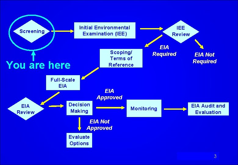 Initial Environmental Examination (IEE) Screening Scoping/ Terms of Reference You are here Full-Scale EIA