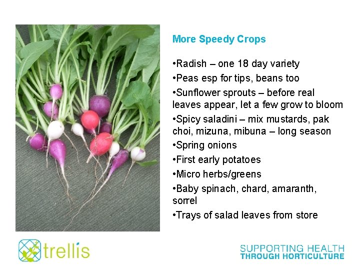 More Speedy Crops • Radish – one 18 day variety • Peas esp for