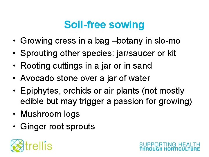 Soil-free sowing • • • Growing cress in a bag –botany in slo-mo Sprouting