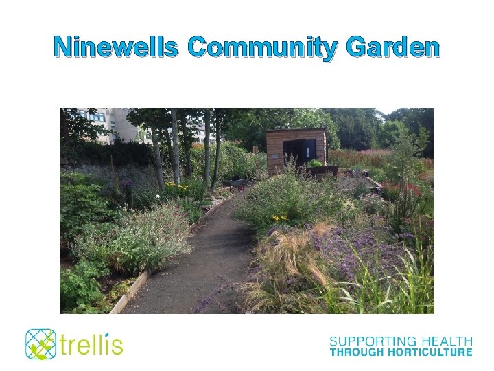 Ninewells Community Garden 
