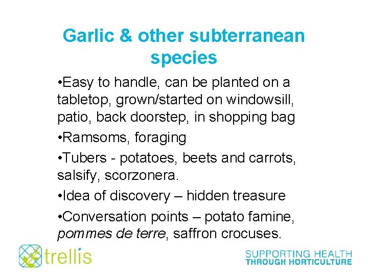 Garlic & other subterranean species • Easy to handle, can be planted on a