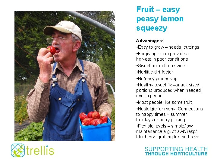 Fruit – easy peasy lemon squeezy Advantages: • Easy to grow – seeds, cuttings