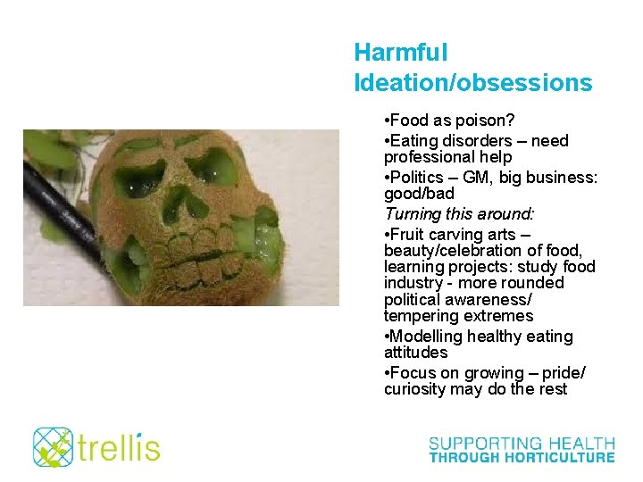Harmful Ideation/obsessions • Food as poison? • Eating disorders – need professional help •