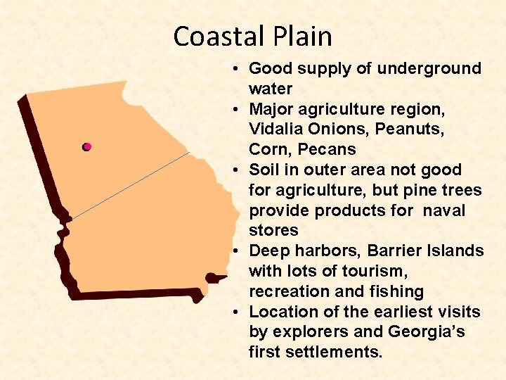 Coastal Plain • Good supply of underground water • Major agriculture region, Vidalia Onions,