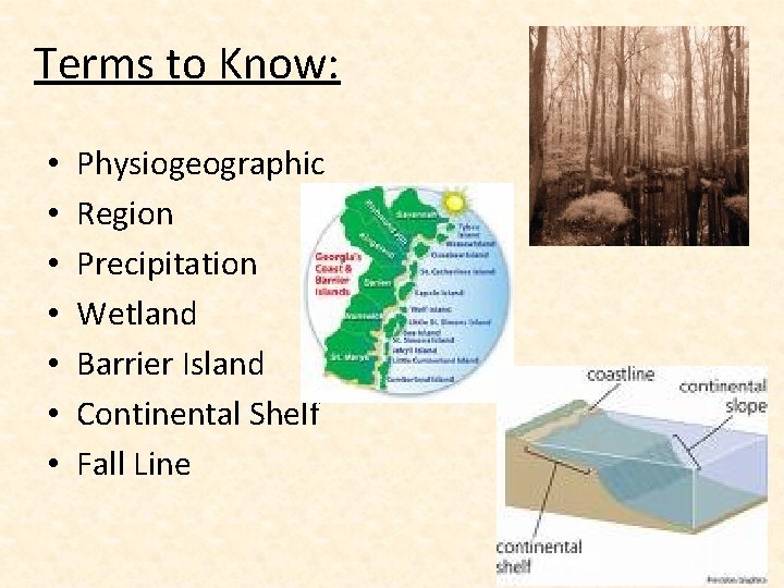 Terms to Know: • • Physiogeographic Region Precipitation Wetland Barrier Island Continental Shelf Fall