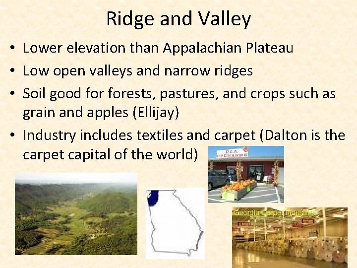 Ridge and Valley • Lower elevation than Appalachian Plateau • Low open valleys and