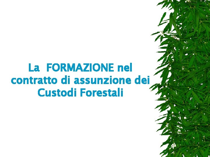 La FORMAZIONE nel contratto di assunzione dei Custodi Forestali 