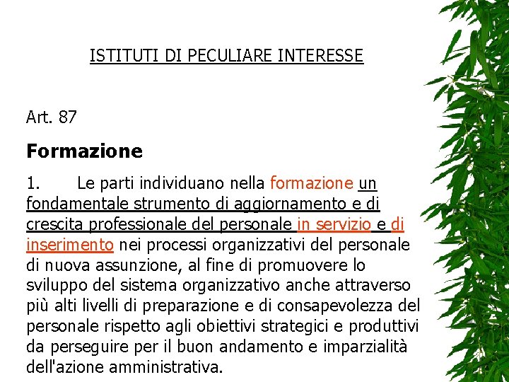 ISTITUTI DI PECULIARE INTERESSE Art. 87 Formazione 1. Le parti individuano nella formazione un