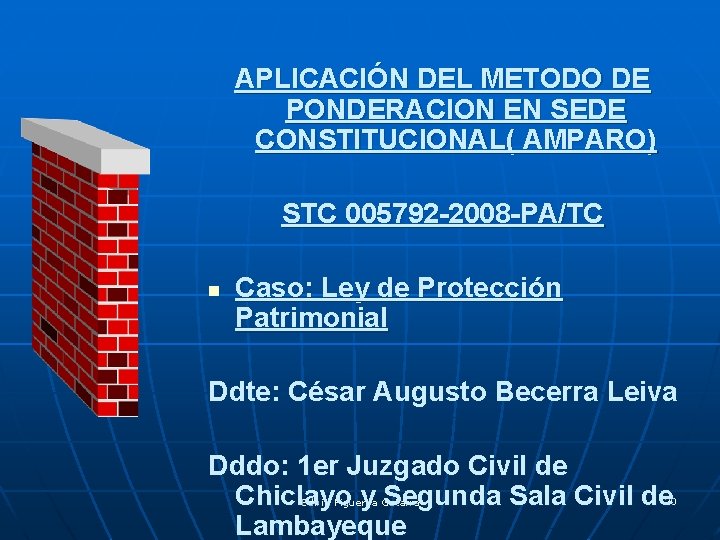 APLICACIÓN DEL METODO DE PONDERACION EN SEDE CONSTITUCIONAL( AMPARO) STC 005792 -2008 -PA/TC n