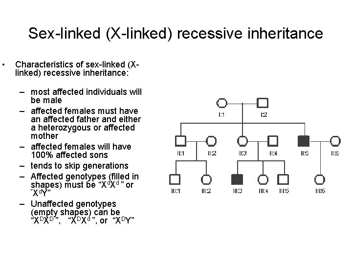 Sex-linked (X-linked) recessive inheritance • Characteristics of sex-linked (Xlinked) recessive inheritance: – most affected