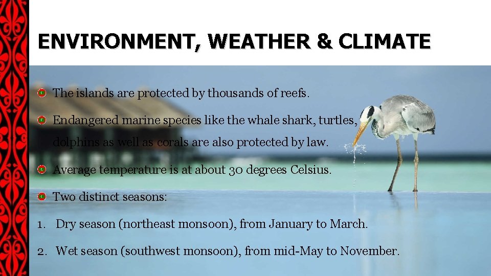 ENVIRONMENT, WEATHER & CLIMATE The islands are protected by thousands of reefs. Endangered marine