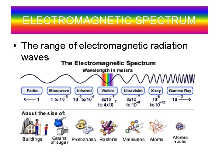 ELECTROMAGNETIC SPECTRUM • The range of electromagnetic radiation waves 