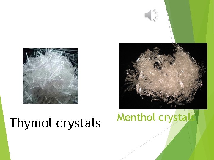 Thymol crystals Menthol crystals 