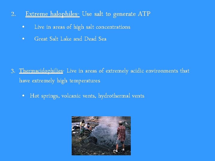 2. Extreme halophiles- Use salt to generate ATP • • Live in areas of