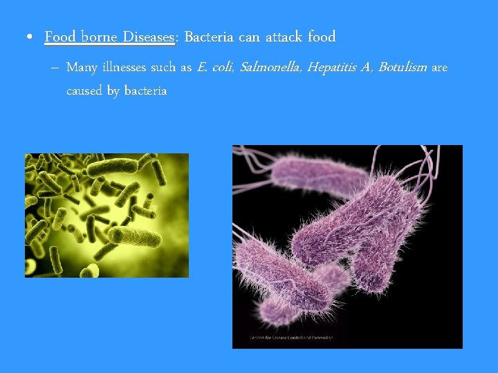  • Food borne Diseases: Bacteria can attack food – Many illnesses such as