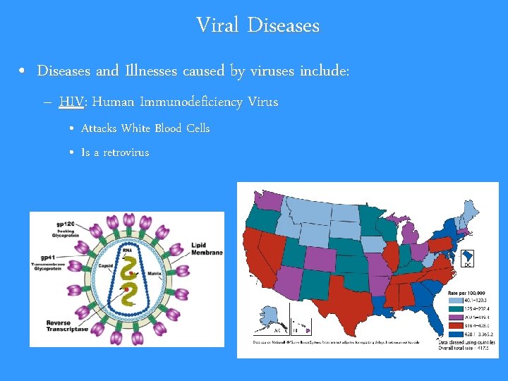 Viral Diseases • Diseases and Illnesses caused by viruses include: – HIV: Human Immunodeficiency