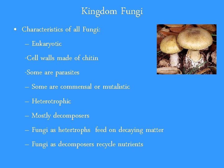 Kingdom Fungi • Characteristics of all Fungi: – Eukaryotic -Cell walls made of chitin