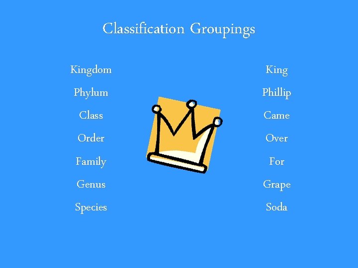 Classification Groupings Kingdom Phylum Class Order Family Genus Species King Phillip Came Over For