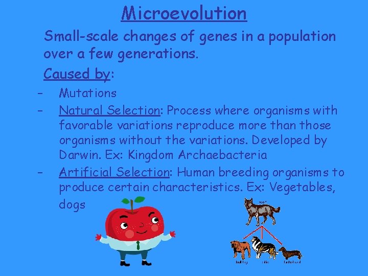 Microevolution Small-scale changes of genes in a population over a few generations. Caused by: