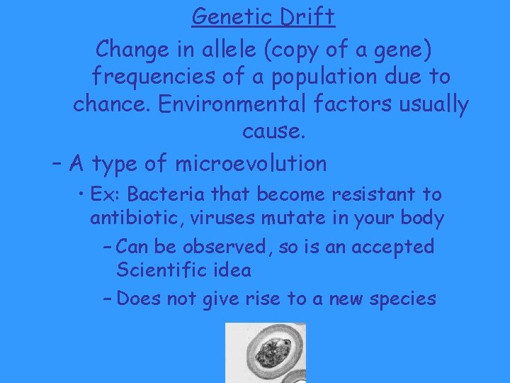 Genetic Drift Change in allele (copy of a gene) frequencies of a population due