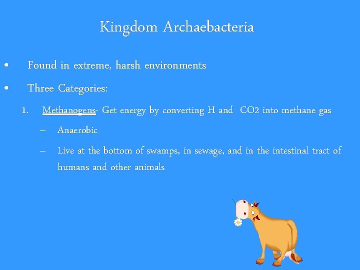 Kingdom Archaebacteria • • Found in extreme, harsh environments Three Categories: 1. Methanogens- Get