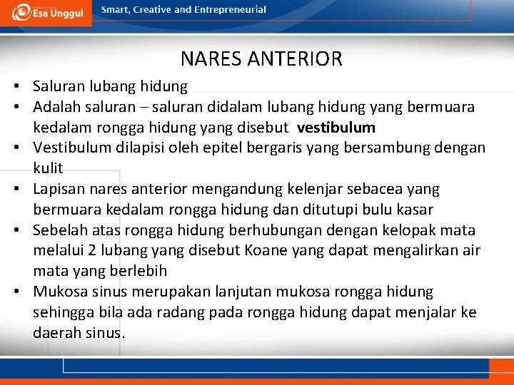 NARES ANTERIOR • Saluran lubang hidung • Adalah saluran – saluran didalam lubang hidung