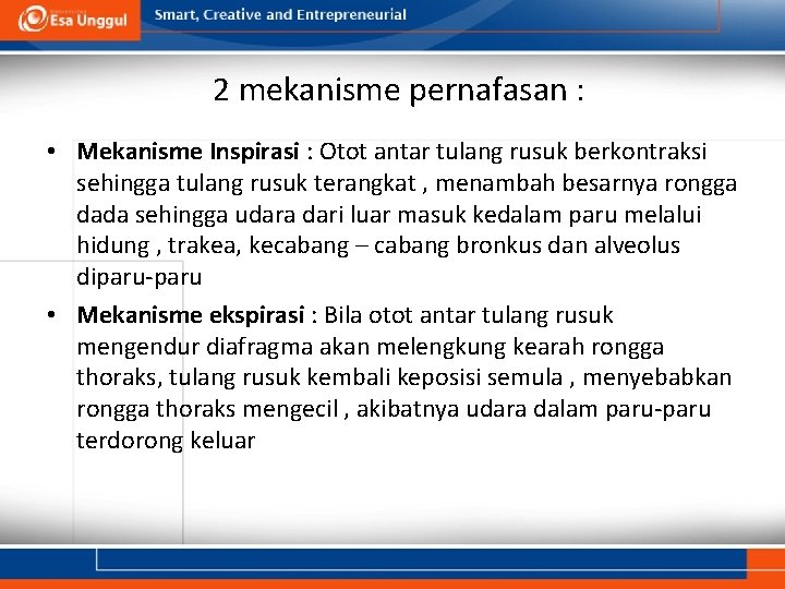 2 mekanisme pernafasan : • Mekanisme Inspirasi : Otot antar tulang rusuk berkontraksi sehingga
