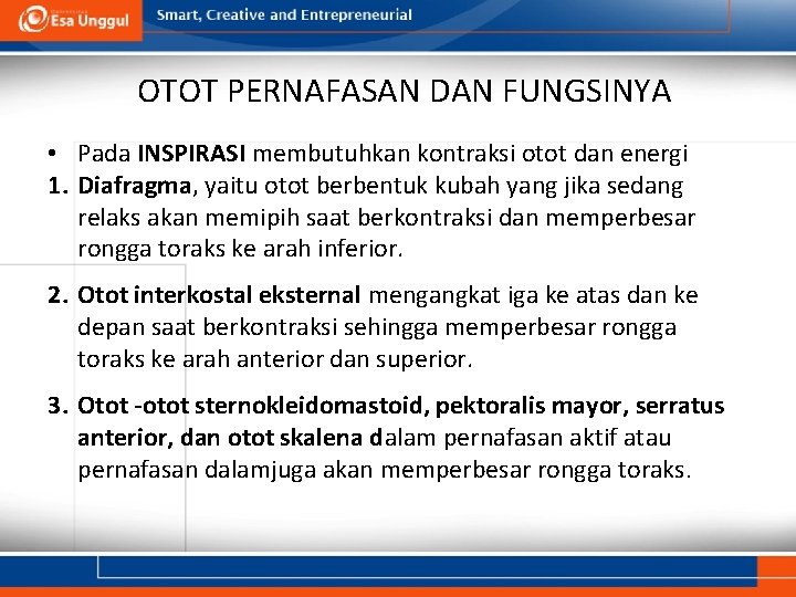 OTOT PERNAFASAN DAN FUNGSINYA • Pada INSPIRASI membutuhkan kontraksi otot dan energi 1. Diafragma,