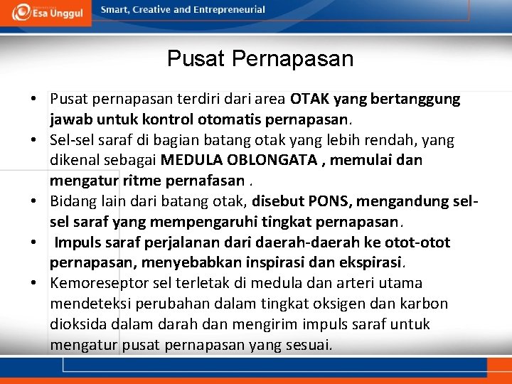 Pusat Pernapasan • Pusat pernapasan terdiri dari area OTAK yang bertanggung jawab untuk kontrol